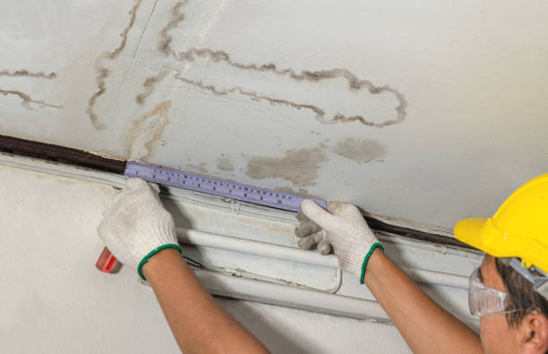Reliable Mold Remediation contractor in Millburn, NJ by Water Damage Irwin